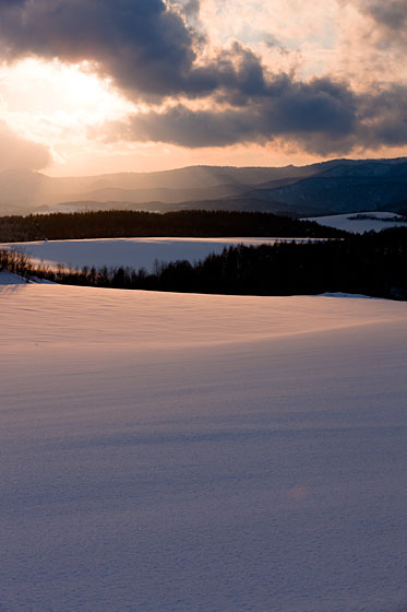 e0025030_7285478.jpg