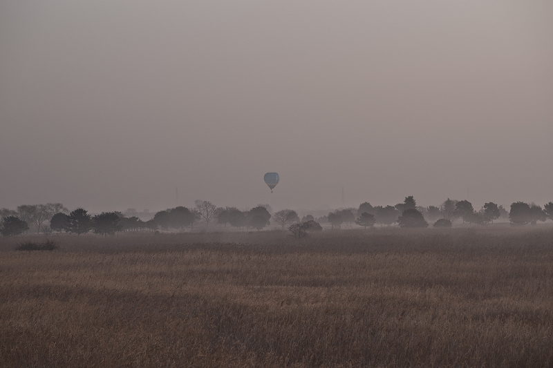 c0216331_656581.jpg
