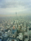 d0118931_22174650.jpg