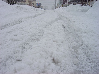 f0205733_1154154.jpg