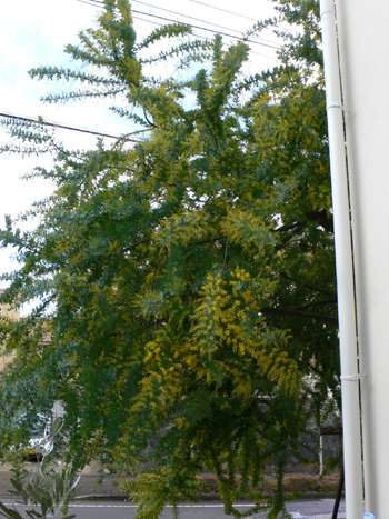 f0061334_2128013.jpg
