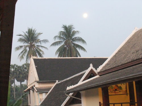 a0186635_2356153.jpg