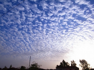 f0204737_0493576.jpg