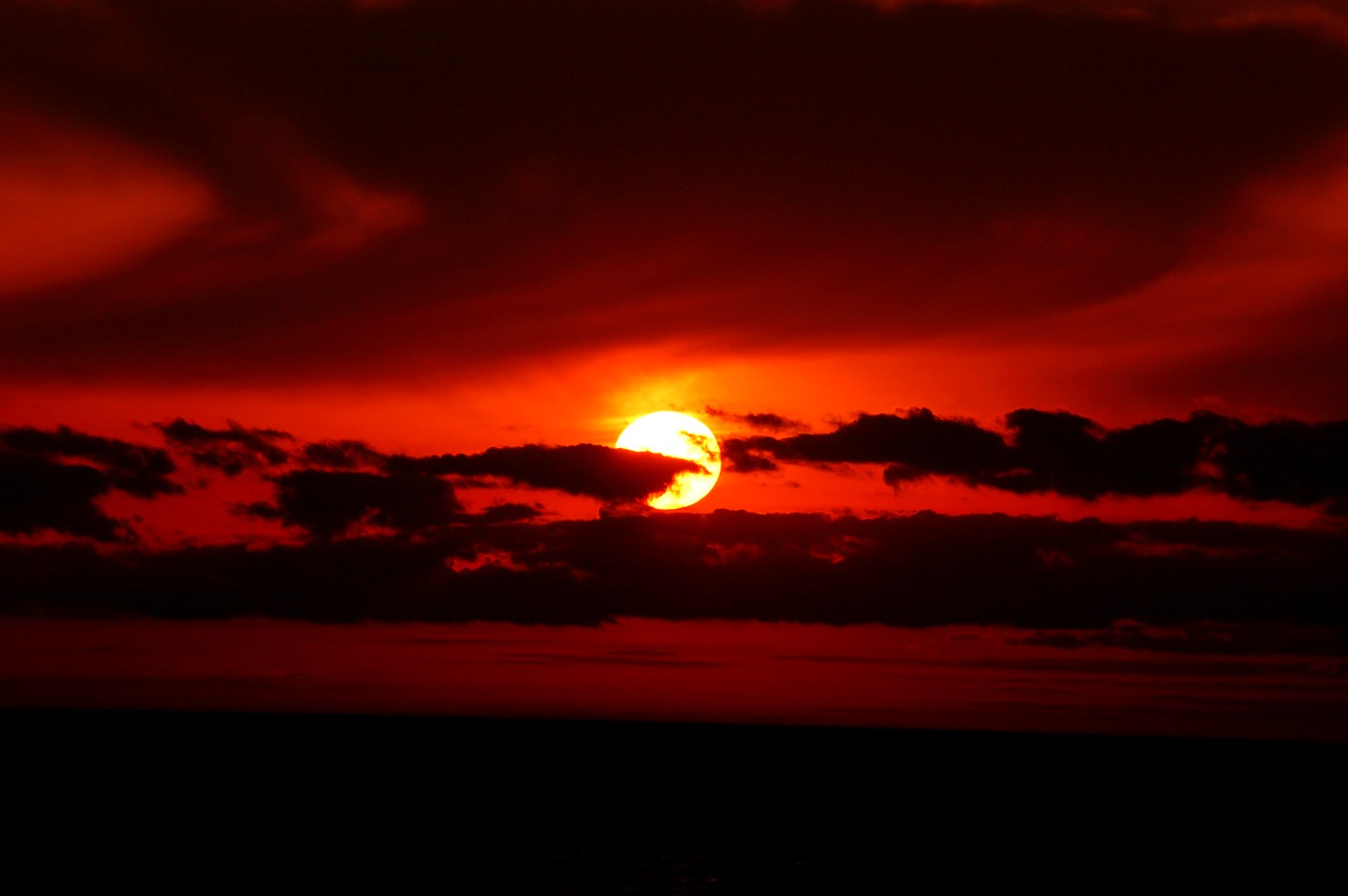e0055138_91725100.jpg