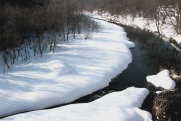 c0204740_17142732.jpg