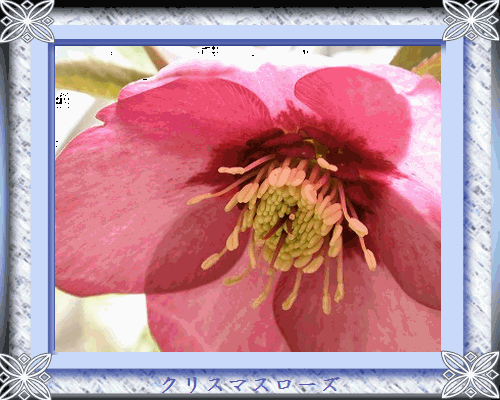 b0133752_945984.gif