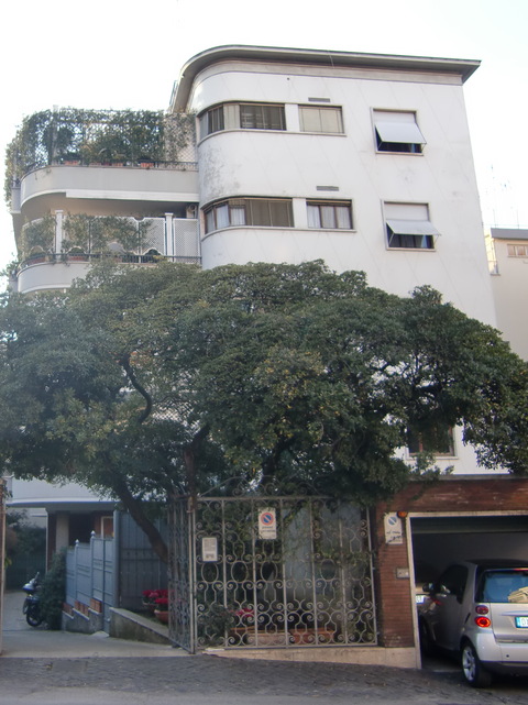 c0206352_7384351.jpg