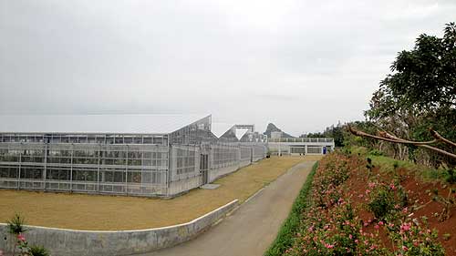 b0101263_14415836.jpg