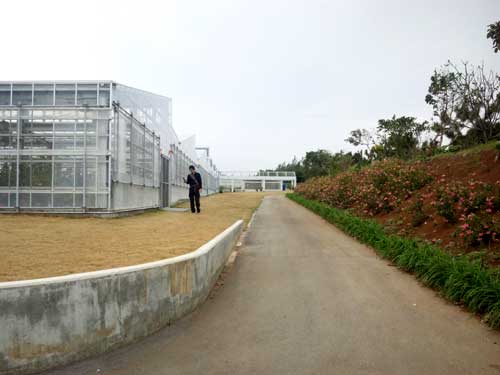 b0101263_14431838.jpg