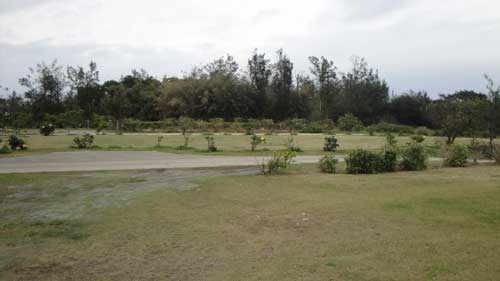 b0101263_14484929.jpg