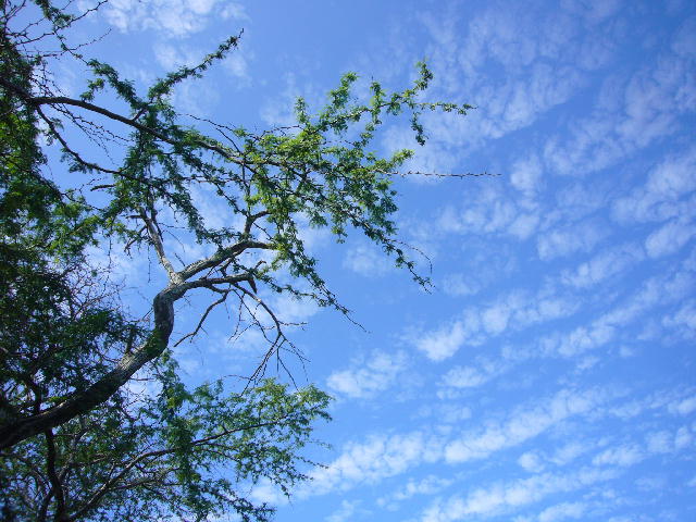f0057565_1653764.jpg