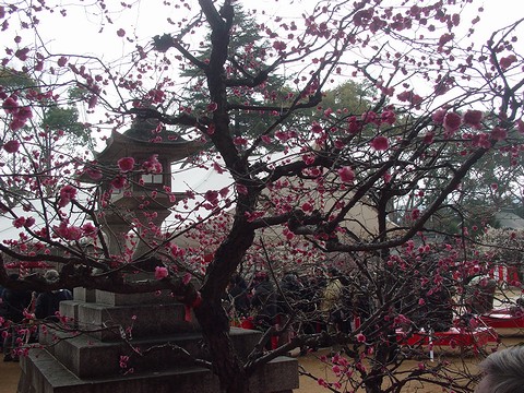 b0194872_21514483.jpg
