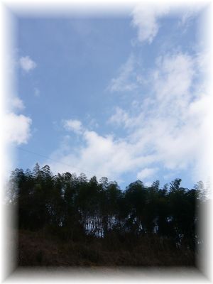 d0175974_1425321.jpg