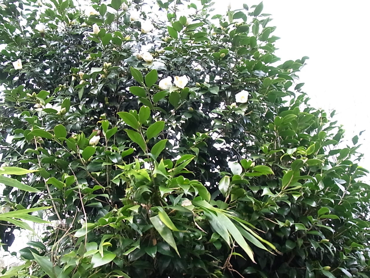 b0206784_17252844.jpg