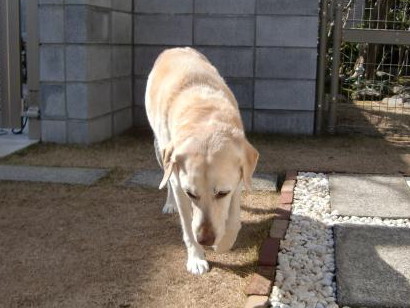 c0028792_2274562.jpg