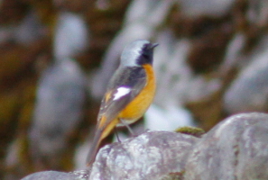 d0133693_21242434.jpg