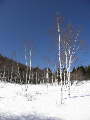 d0032405_2341773.jpg