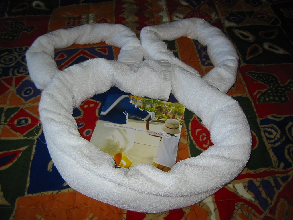 a0161409_6164354.jpg