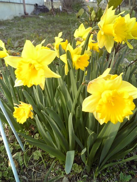 f0231709_11323650.jpg