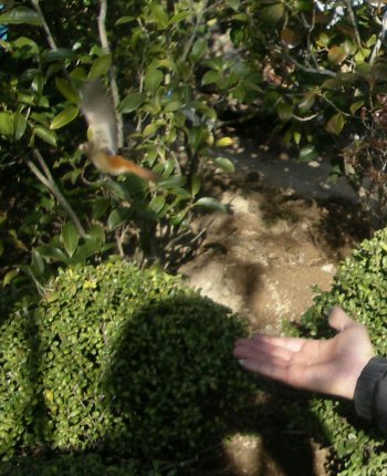 c0190010_20512165.jpg