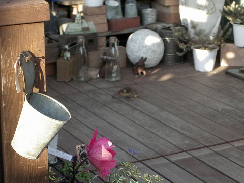 c0190010_2053165.jpg