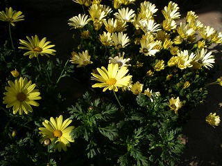 c0190010_2093533.jpg