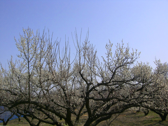 b0193517_2251515.jpg