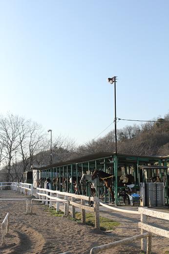 b0109220_20274594.jpg