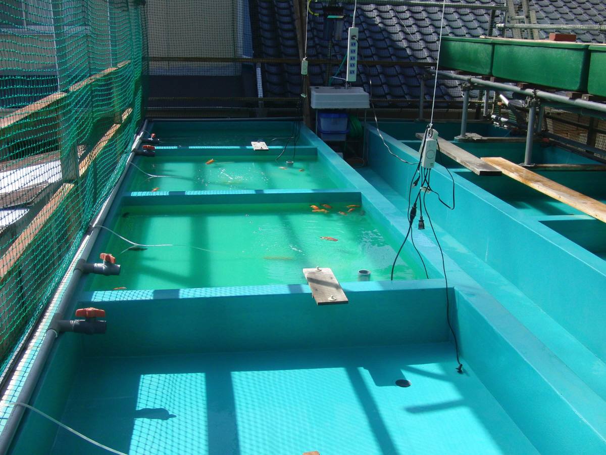 c0020725_12513449.jpg