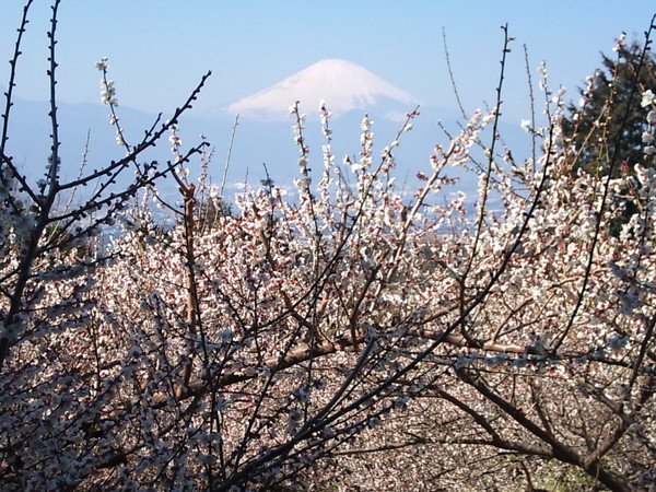 a0049226_20373073.jpg