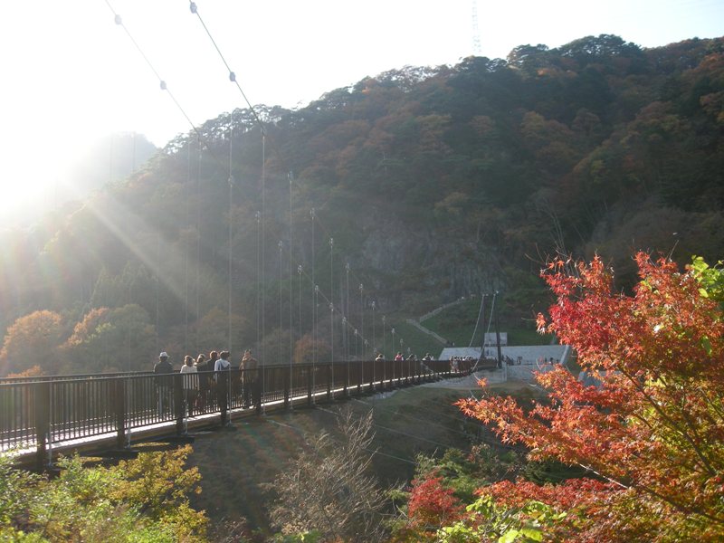 c0122133_23133740.jpg