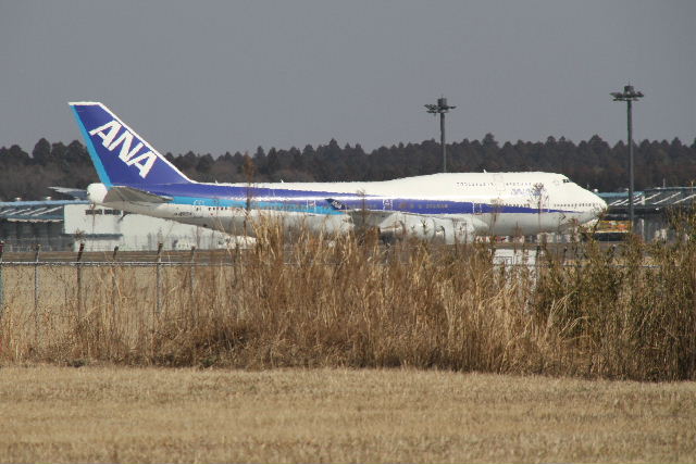 e0064133_239925.jpg