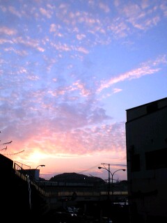 d0141735_22595170.jpg