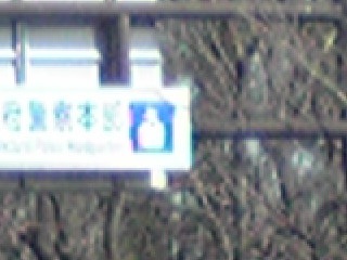 a0155838_171484.jpg