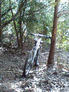 c0059543_14432420.jpg