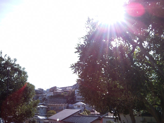 e0150843_19371641.jpg