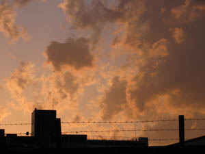 e0181546_10849.jpg