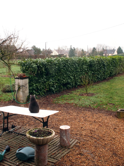 f0035251_746389.jpg