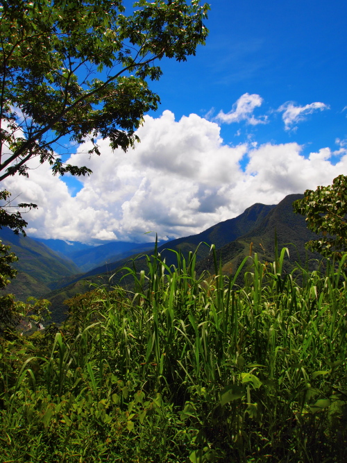 d0171760_5193758.jpg