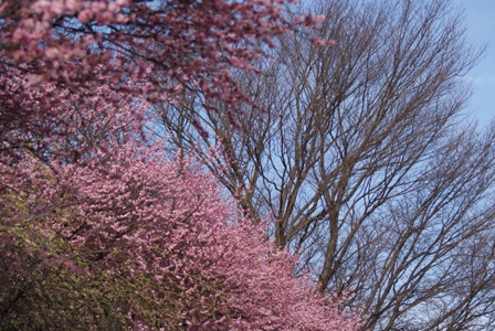 a0091666_23115512.jpg