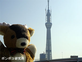 e0073268_2326571.jpg