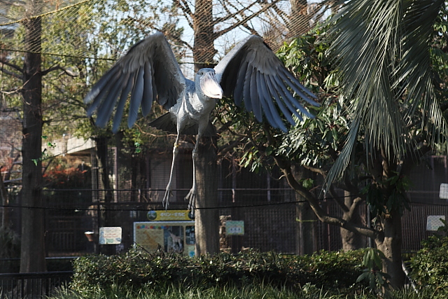 e0117969_15501875.jpg