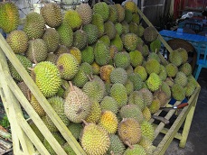 b0200971_1144290.jpg