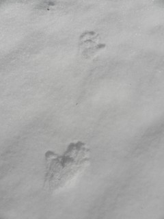 d0134473_16204932.jpg