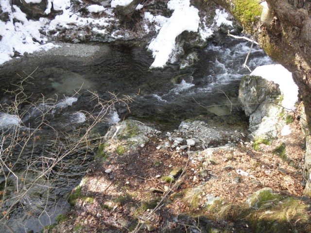 d0134473_16234018.jpg