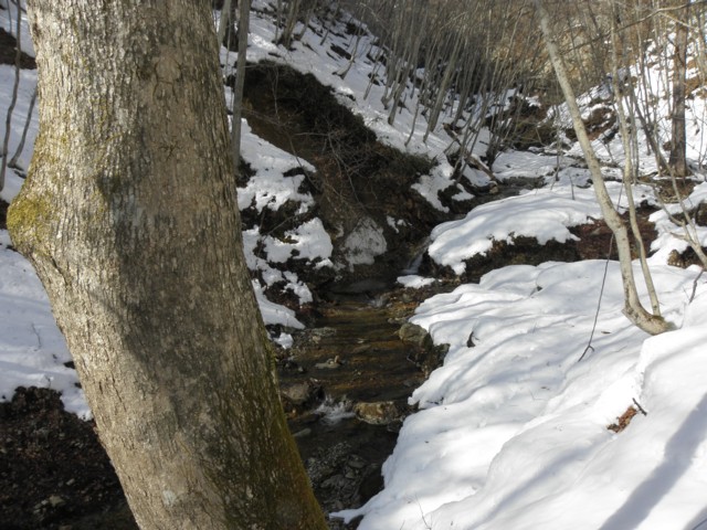 d0134473_1628031.jpg