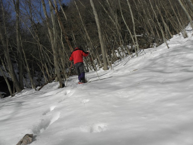d0134473_16293144.jpg