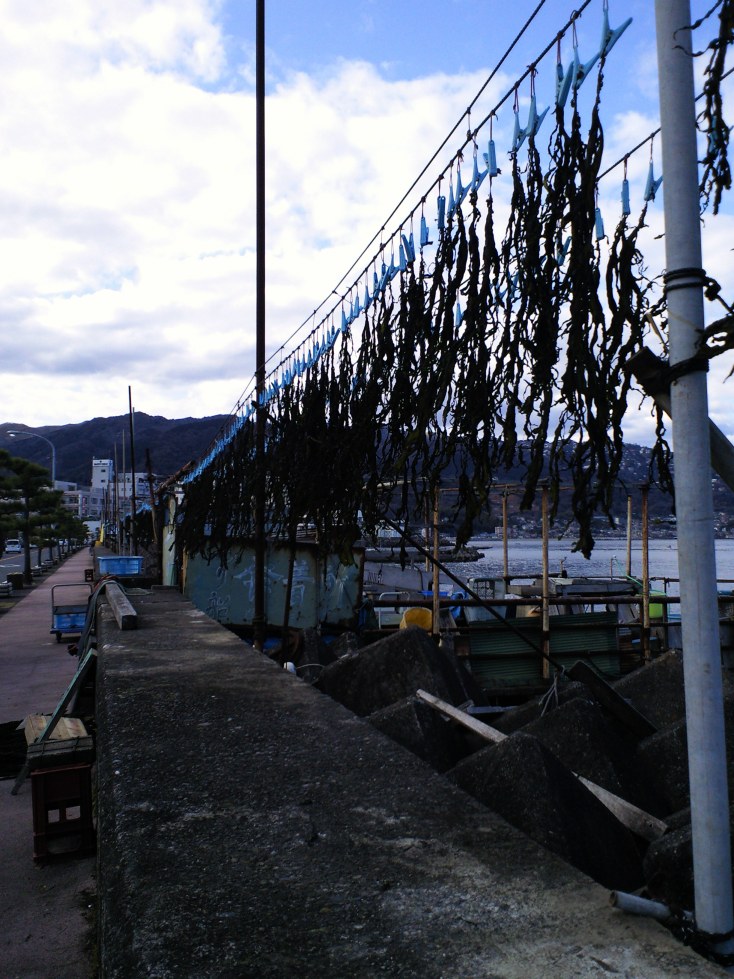 f0117673_2175342.jpg