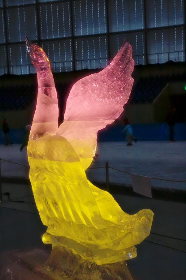 b0083779_2205649.jpg