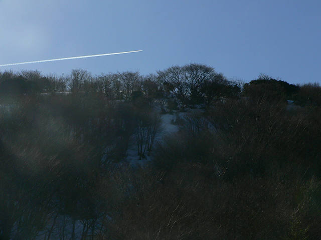 f0082181_22271730.jpg